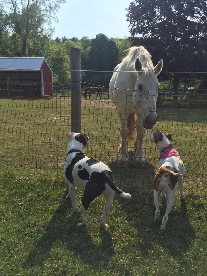 You never know who you'll meet on our Farm Walk!