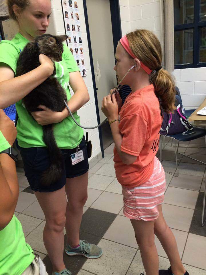 Children can learn about animals at Summer Camp.