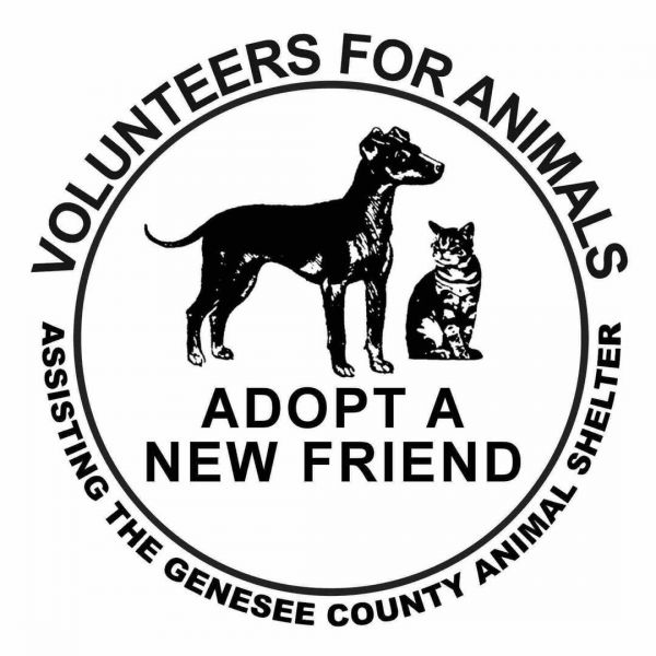 Volunteers For Animals / Genesee County Animal Shelter