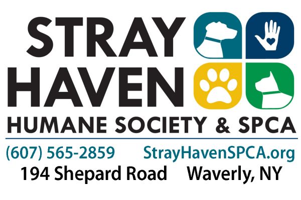 Stray Haven Humane Society and S.P.C.A. Inc.