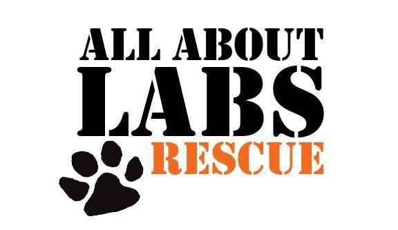 All About Labs Rescue Inc.