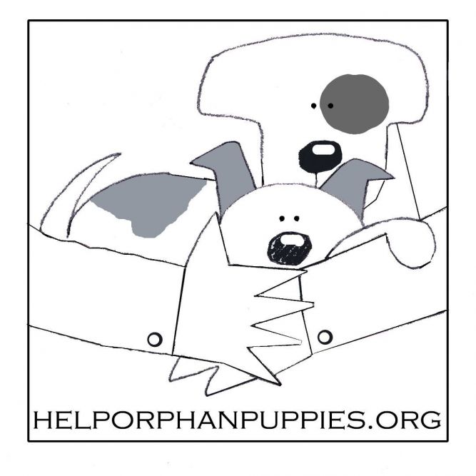 Help Orphan Puppies