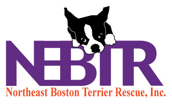 Northeast Boston Terrier Rescue Inc.