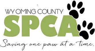 Pets for Adoption at Wyoming County SPCA, in Attica, NY | Petfinder