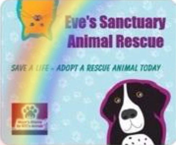 Eve's Sanctuary - Animal Rescue