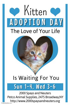 2000 Spays and Neuters Animal Rescue