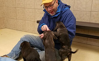Volunteer Dave is socializing the new puppies.