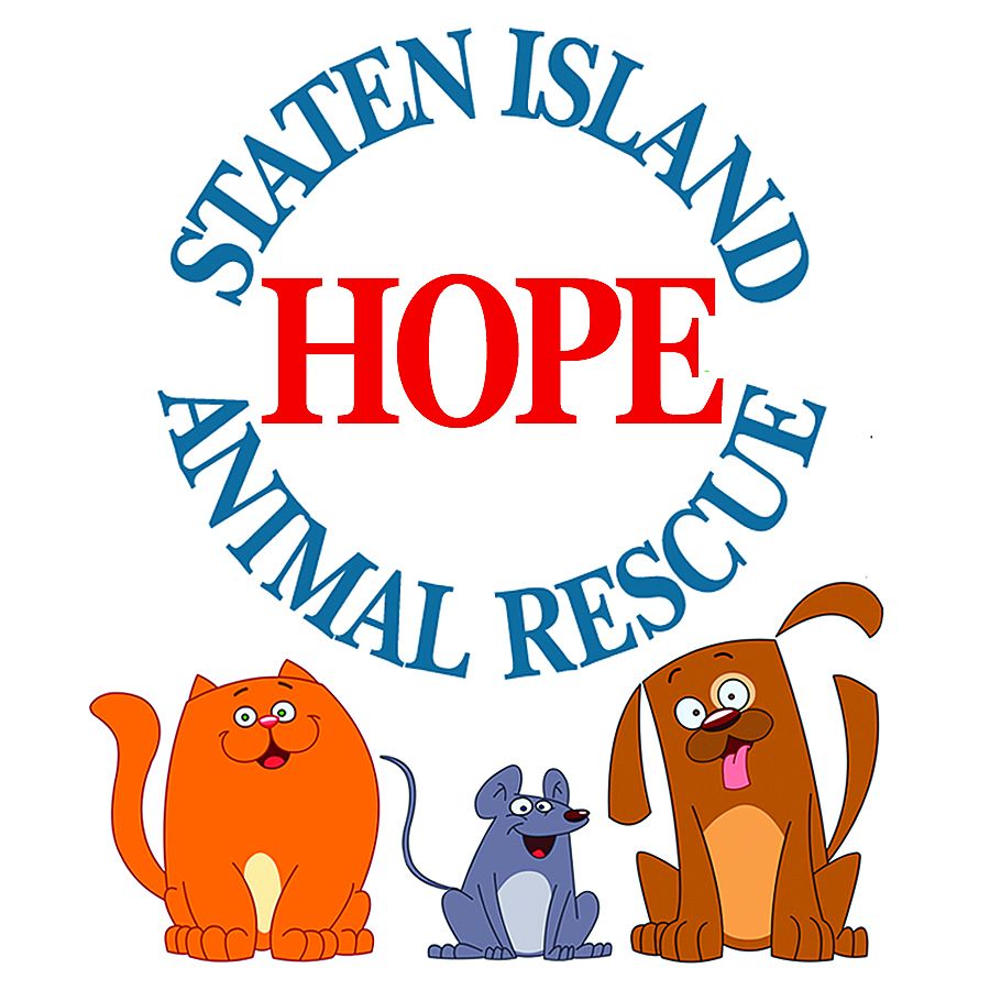 Staten island animal store shelter