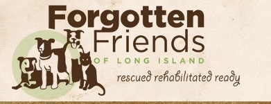 Forgotten Friends of Long Island, Inc.