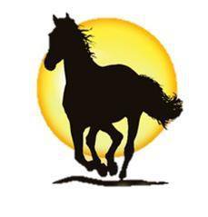 Sunshine Horses, Inc.