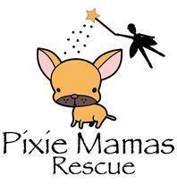 Pixie Mamas Rescue