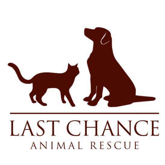 Last Chance Animal Rescue