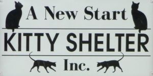 A New Start Kitty Shelter
