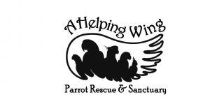 A Helping Wing Parrot Rescue