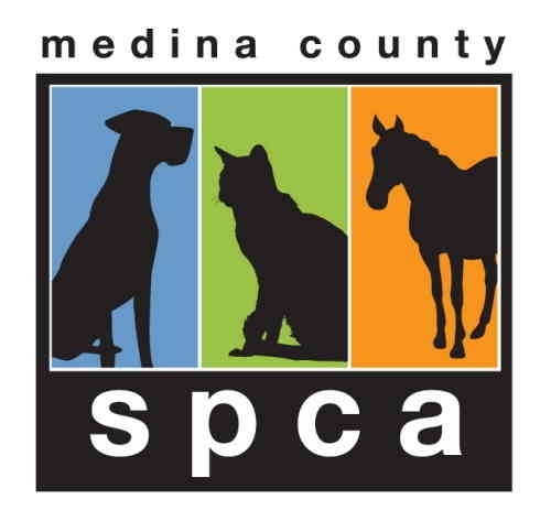 Pets For Adoption At Medina County Spca In Seville Oh Petfinder