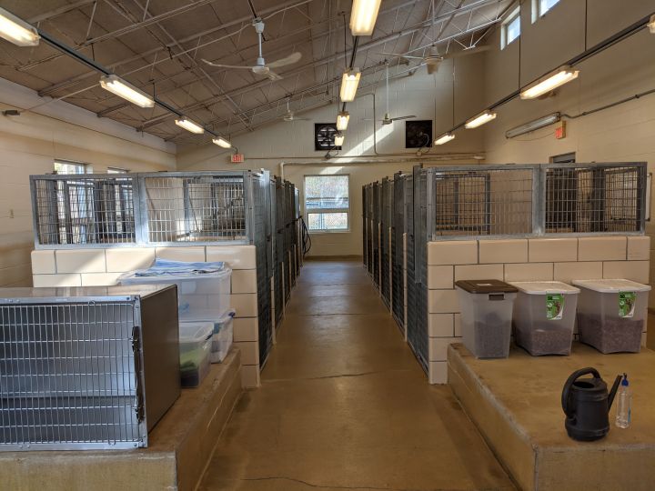 Adoptable dog room