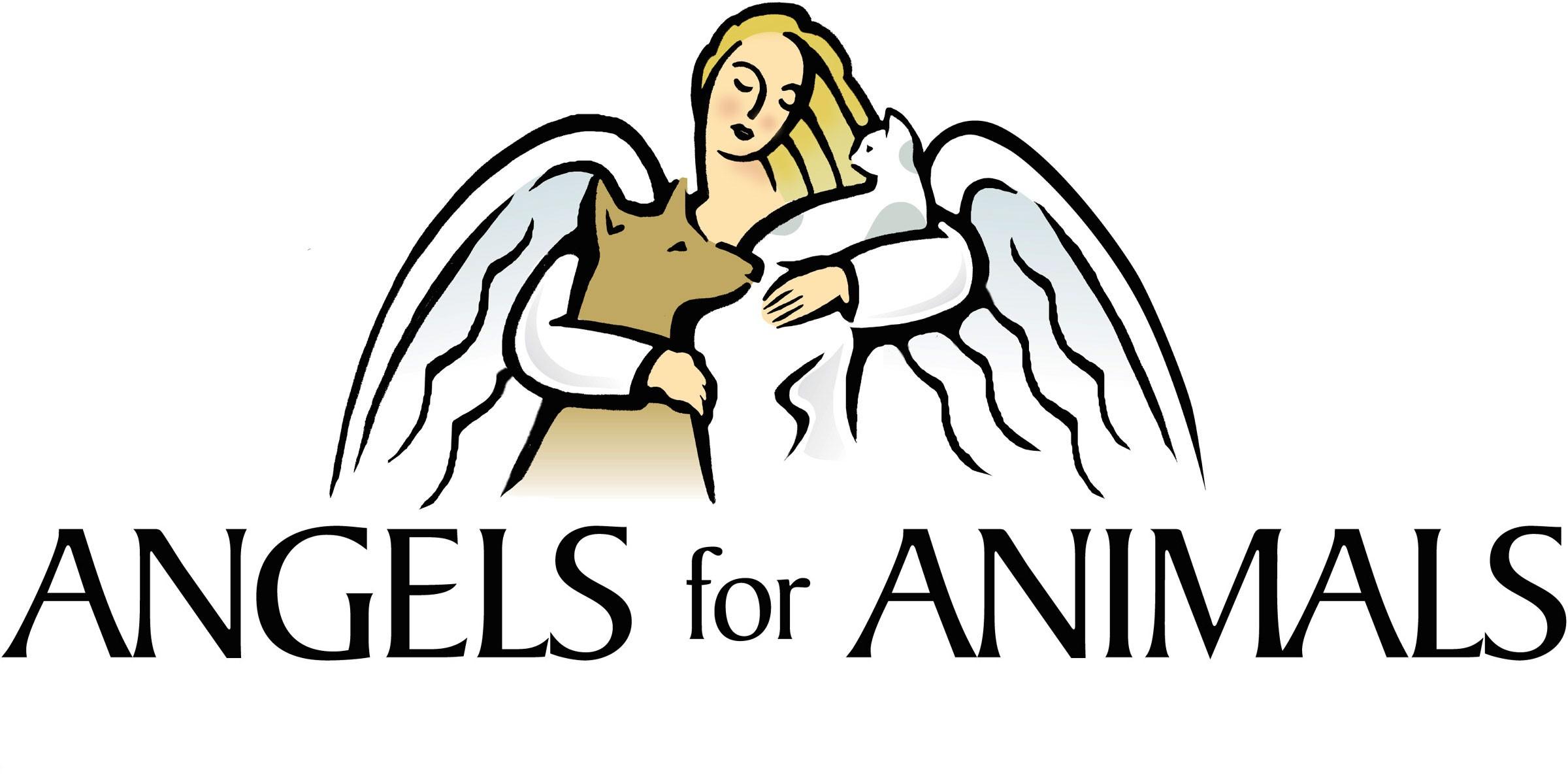 Angels For Animals