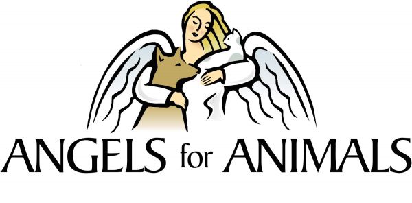 Angels For Animals