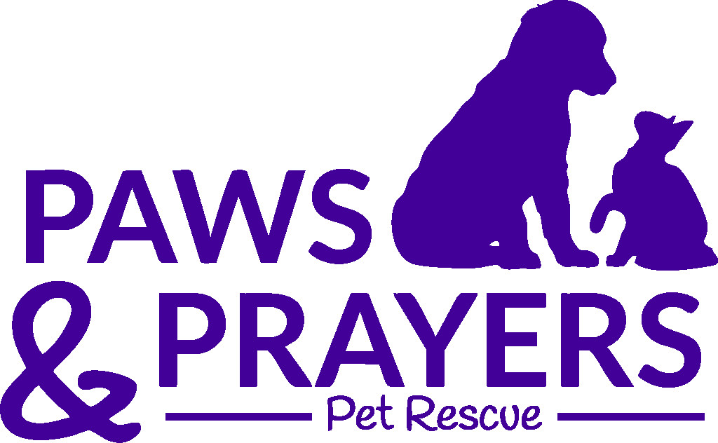 Paws and Prayers