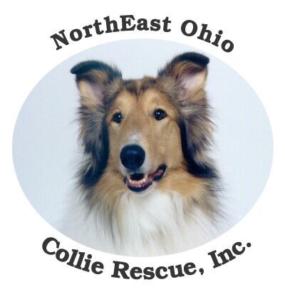 NorthEast Ohio Collie Rescue