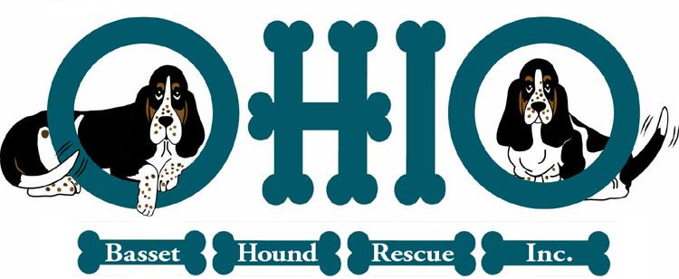 Pets for Adoption at Ohio Basset Hound Rescue Inc., in Brookville, OH ...