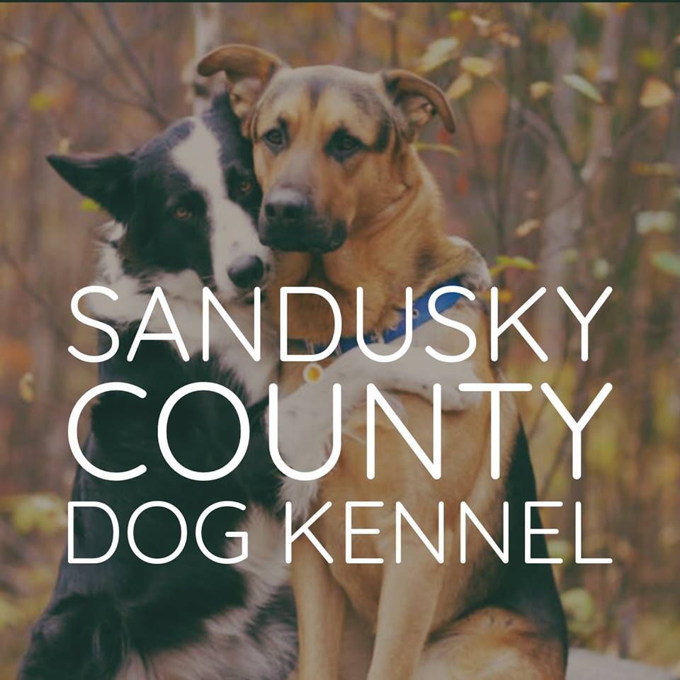 Pets for Adoption at Sandusky County Dog Shelter, in Fremont, OH