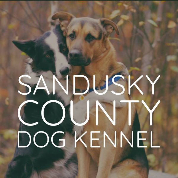 Sandusky County Dog Shelter