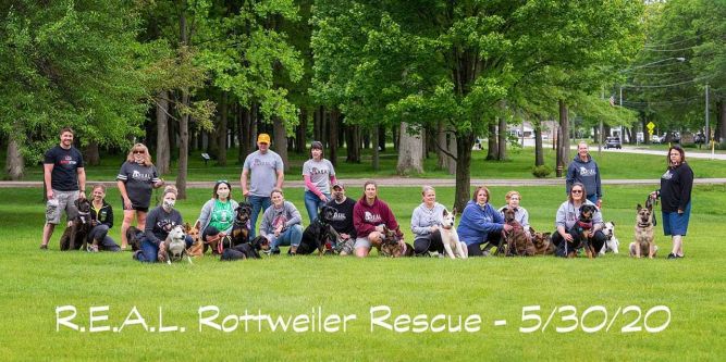 R.E.A.L. Rottweiler Rescue