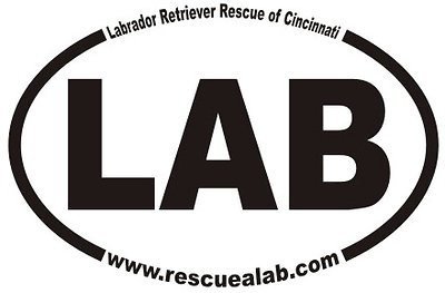 Labrador Retriever Rescue of Cincinnati,Inc.
