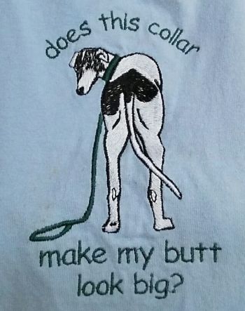 funny greyhound shirt