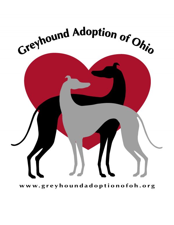 Greyhound Adoption of Ohio
