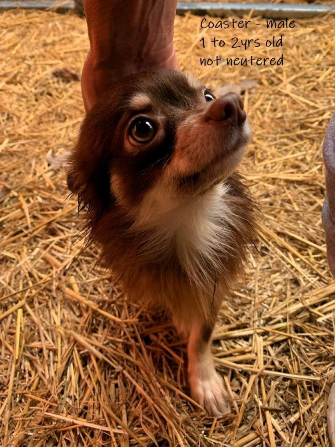 Geauga County Dog Shelter & Warden's Office