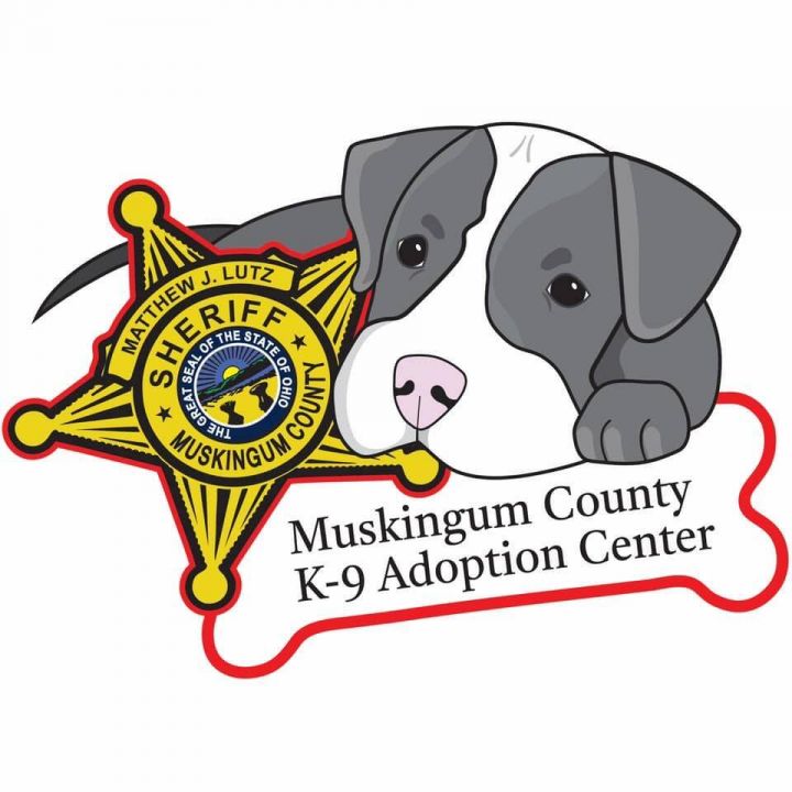 muskingum county animal shelter available dogs