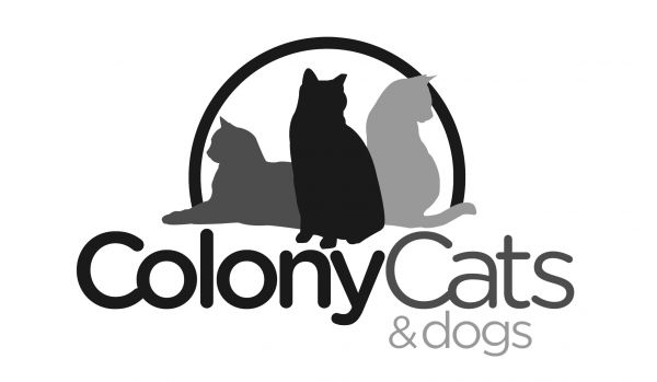 Colony Cats & dogs