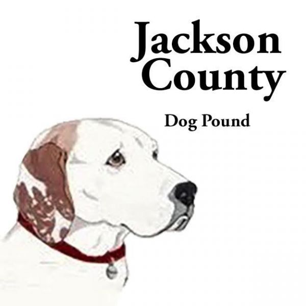 Jackson County Dog Pound