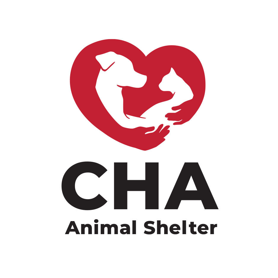 Pets for Adoption at CHA Animal Shelter in Columbus OH Petfinder