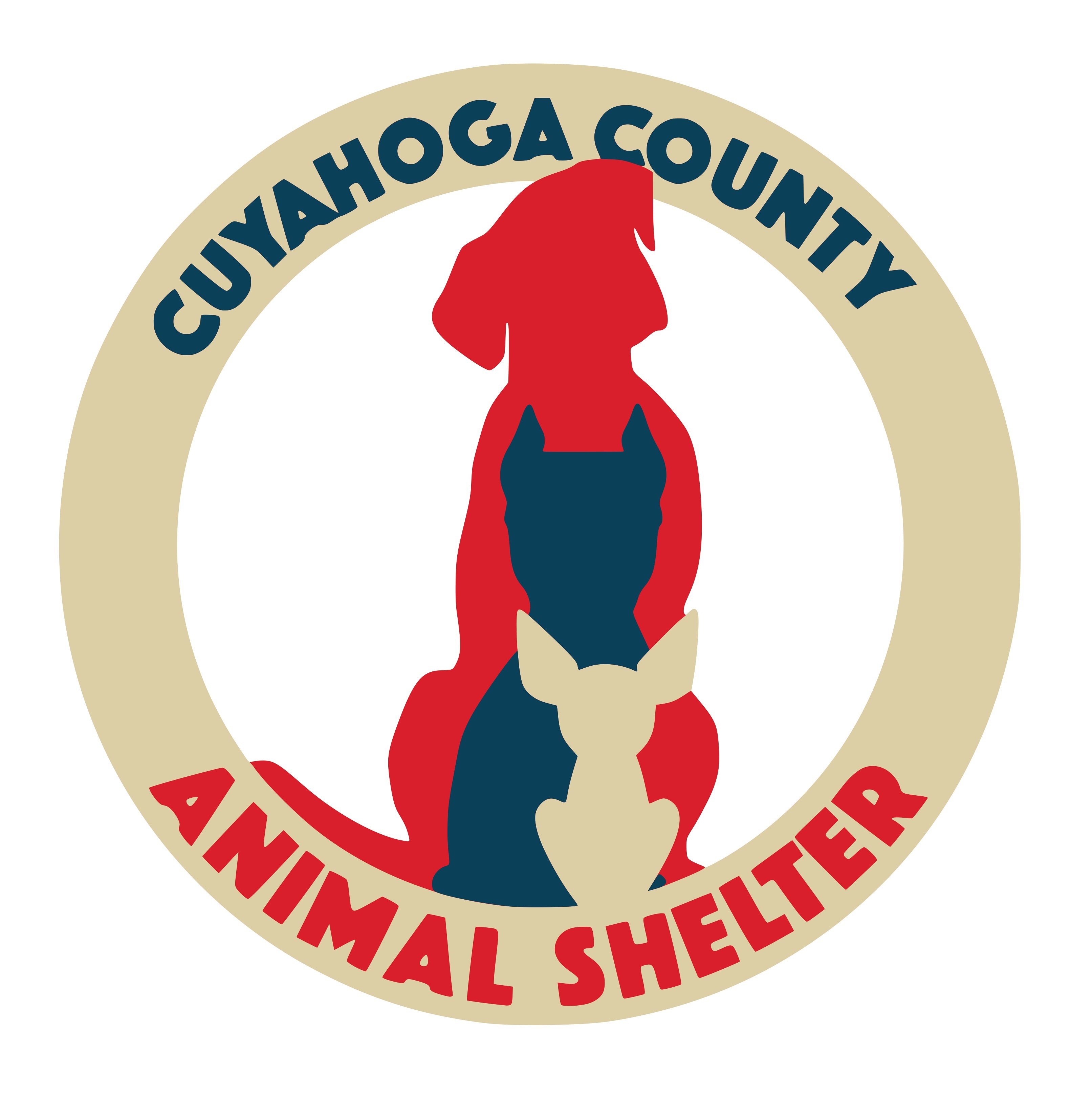 Pets for Adoption at Cuyahoga County Animal Shelter, in Valley View, OH ...