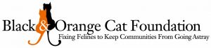 Black and Orange Cat Foundation