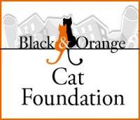 Black and Orange Cat Foundation