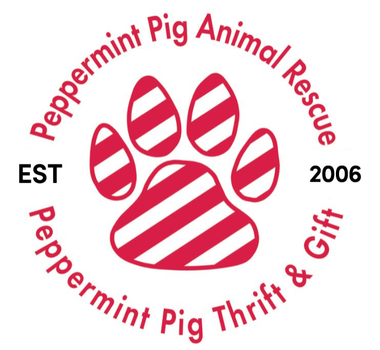 Pets For Adoption At Peppermint Pig Animal Rescue And Peppermint Pig Thrift Gift In Cincinnati Oh Petfinder