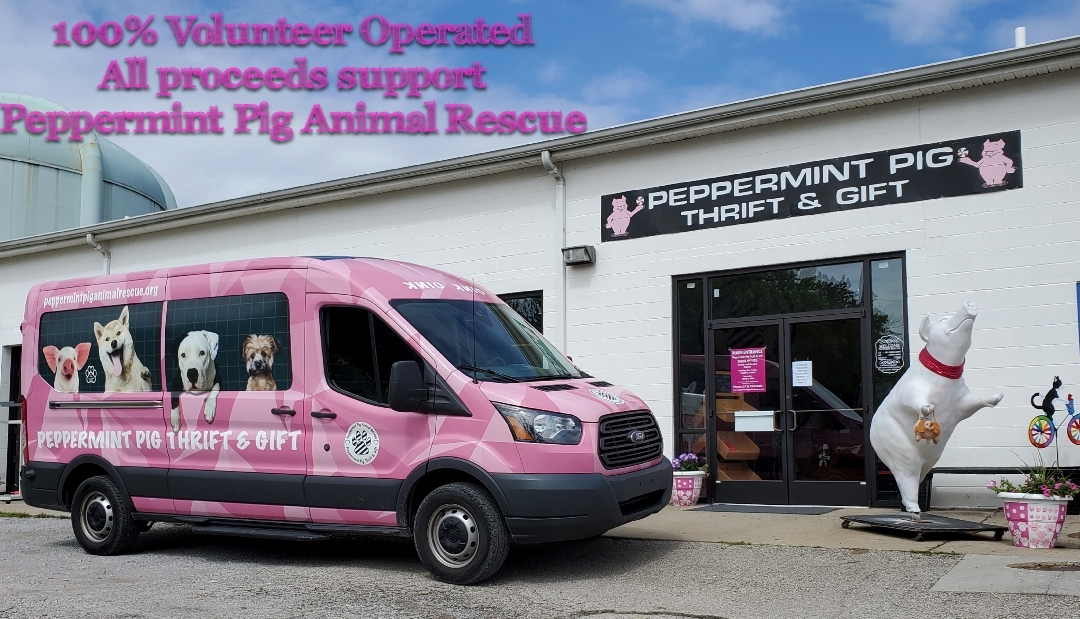Pets for Adoption at Peppermint Pig Animal Rescue and ...