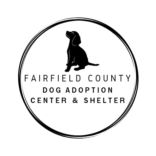 Fairfield County Dog Shelter