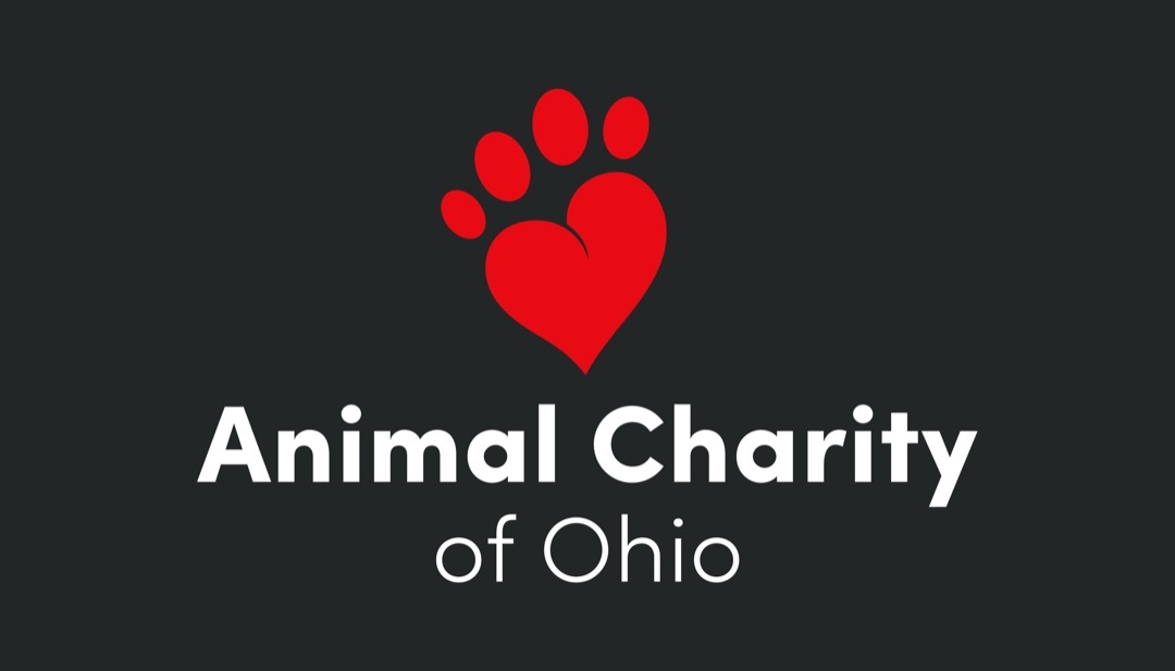 animal charity humane society