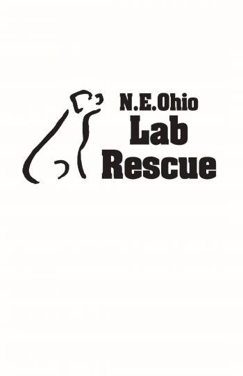 Neo cheap lab rescue