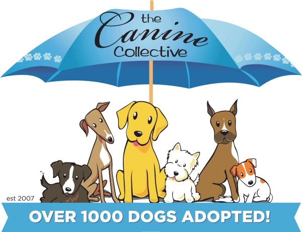 Canine Collective