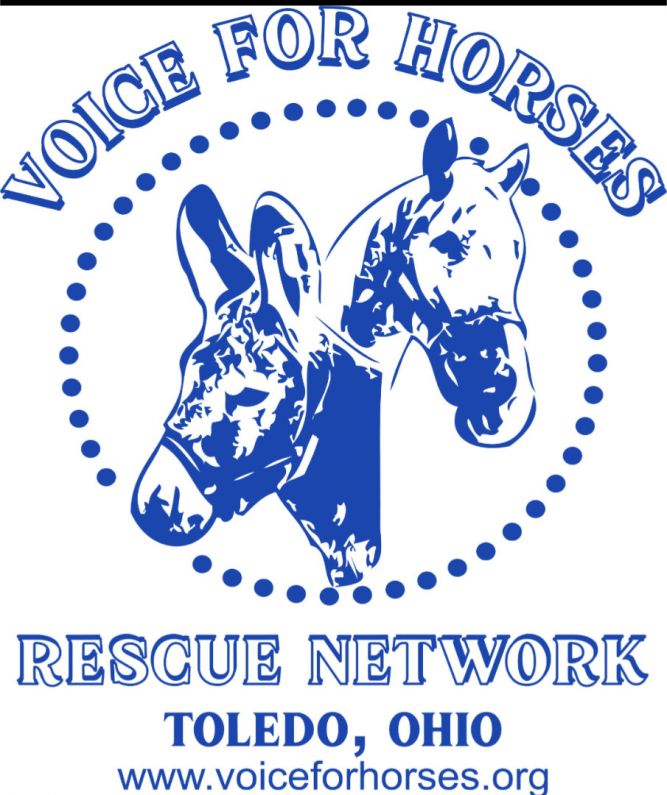 Voice For Horses Rescue Network