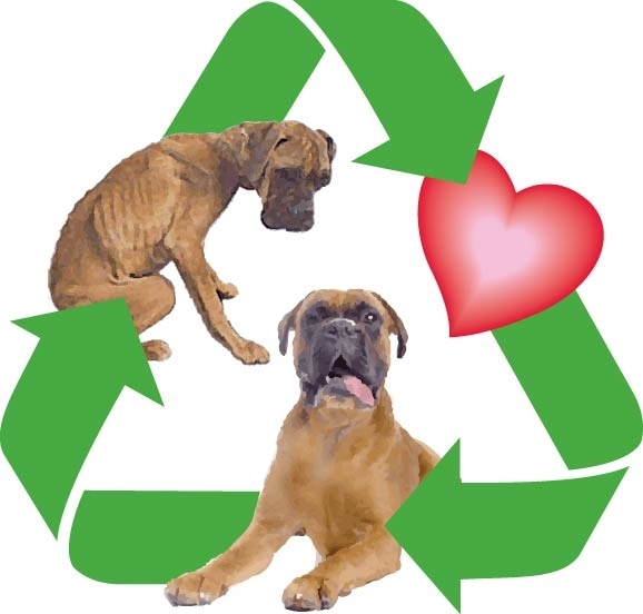 Recycled Doggies