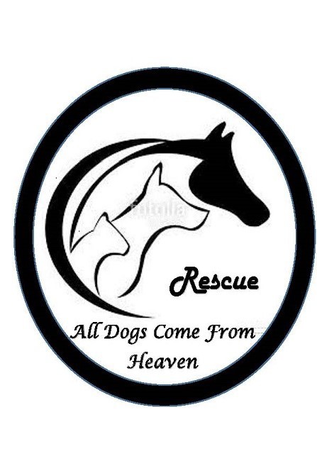 All Dogs Come From Heaven Rescue
