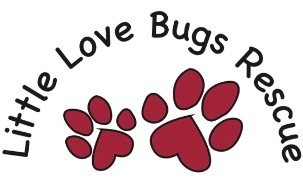 Little Love Bugs Rescue