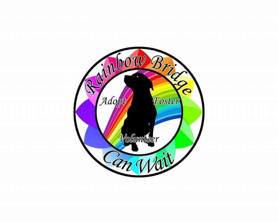 Rainbow Bridge Can Wait Animal Rescue and Adoption